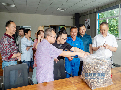 助力綠色產業 倡導健康生活 我市文藝志愿服務小分隊走進宣州“搖櫓小鎮” 采收羊肚菌