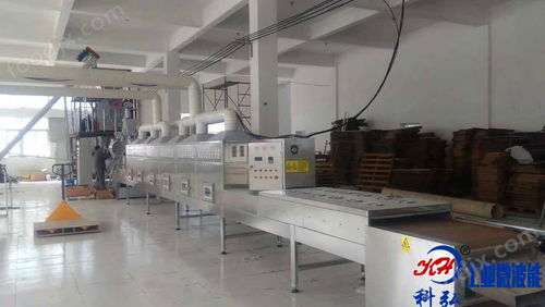 工業(yè)全自動化微波食品原料殺菌設(shè)備生產(chǎn)線